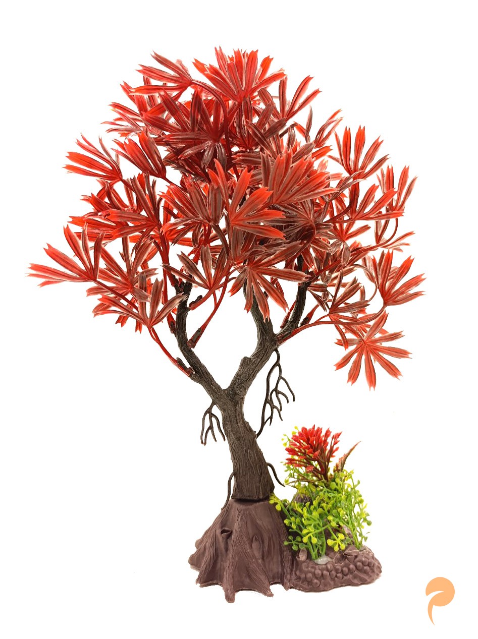 Фото1.Рослина, 8х19х26 см